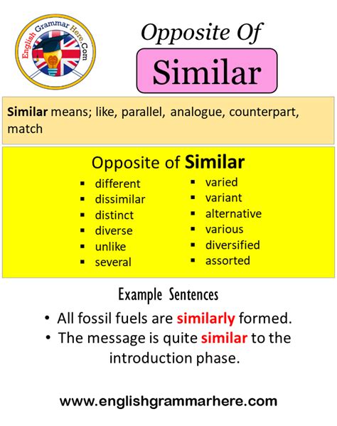 ADAPTERS Synonyms: 45 Similar and Opposite Words